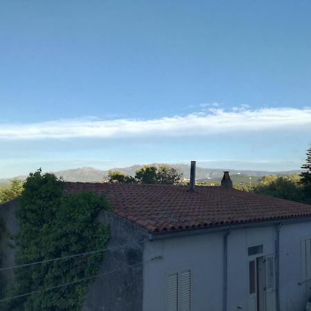 Monti Di Bo Apartment Aggius Bagian luar foto