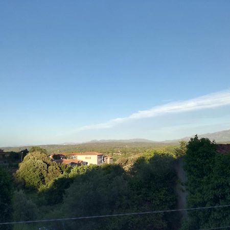 Monti Di Bo Apartment Aggius Bagian luar foto