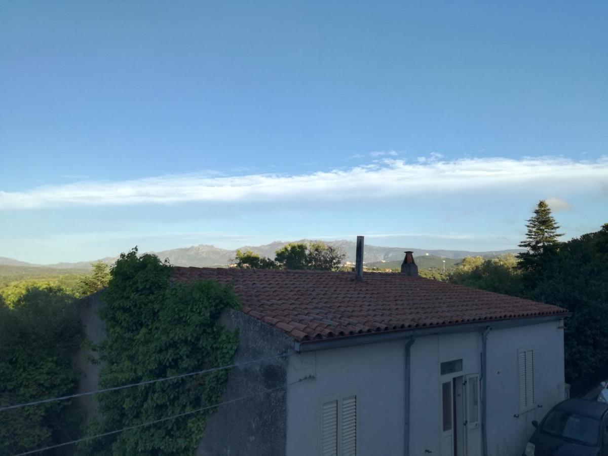 Monti Di Bo Apartment Aggius Bagian luar foto