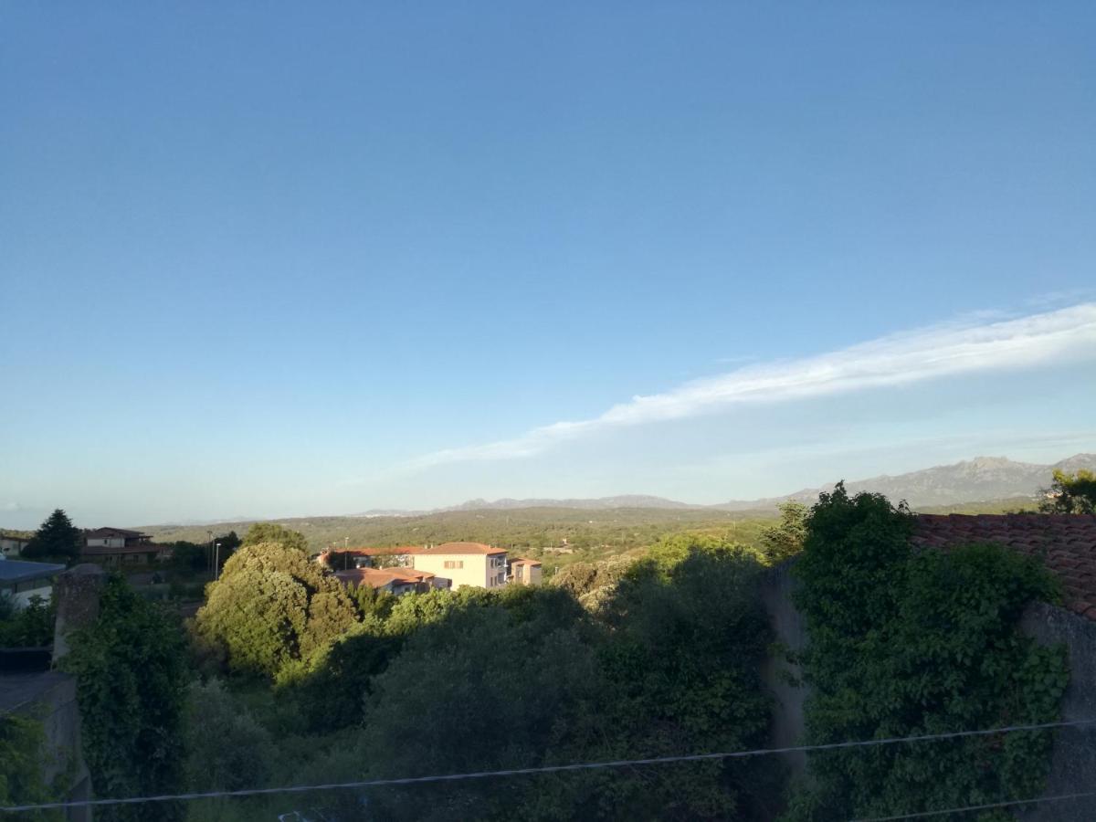 Monti Di Bo Apartment Aggius Bagian luar foto